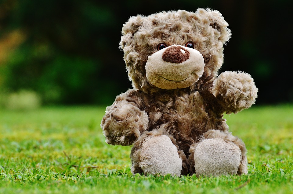 peluche orso.jpg